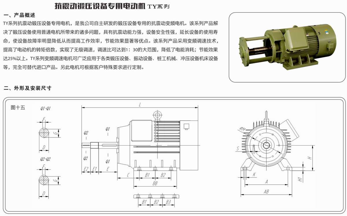 抗震動(dòng)鍛壓設(shè)備專(zhuān)用電動(dòng)機(jī)  TY系列 01